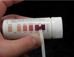 Ketones testing