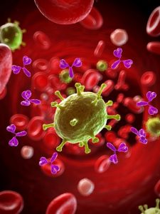 picture of antibodies and virus