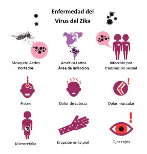 zika virus symptoms