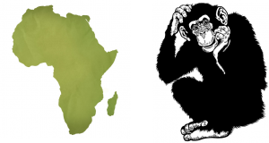 Map of Africa and Chimpanzee