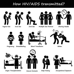 Chart of how HIV/AIDS is transmitted