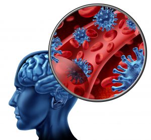 meningitis in the brain