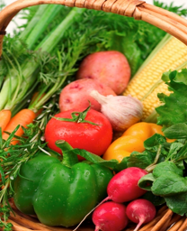 Preventing Diabetes/Vegetables In Basket Photo