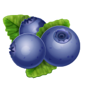 Kids Corner/Blueberries Icon