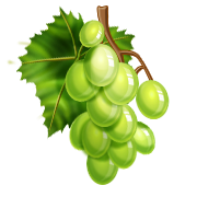 Meal Planning/Green Grapes on the Vine Icon