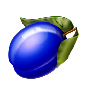 Kids Corner/Plum (Shiny) Icon