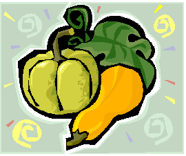 Meal Planning/Squashes Icon